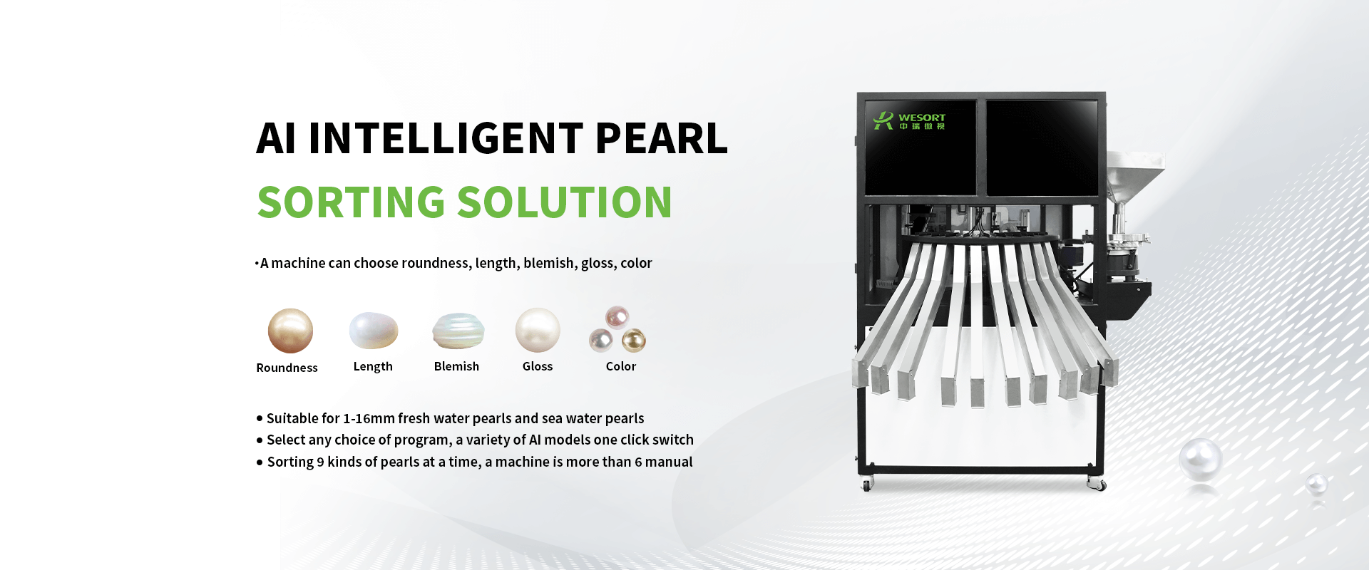 colour sorting machine manufacturers| Wesort