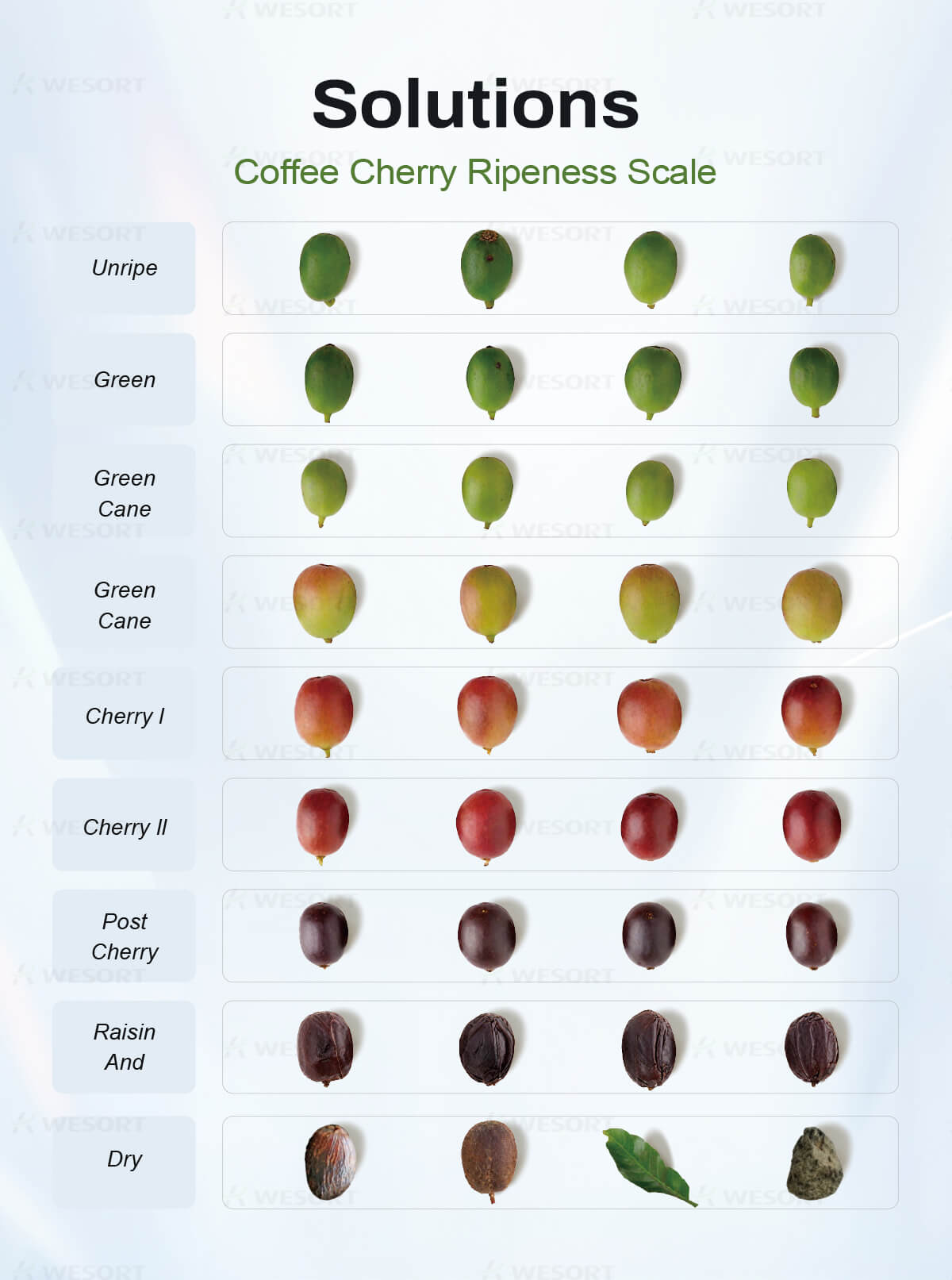 Coffee Bean Color Sorter–6SXZ-136 – colour sorting machine ...
